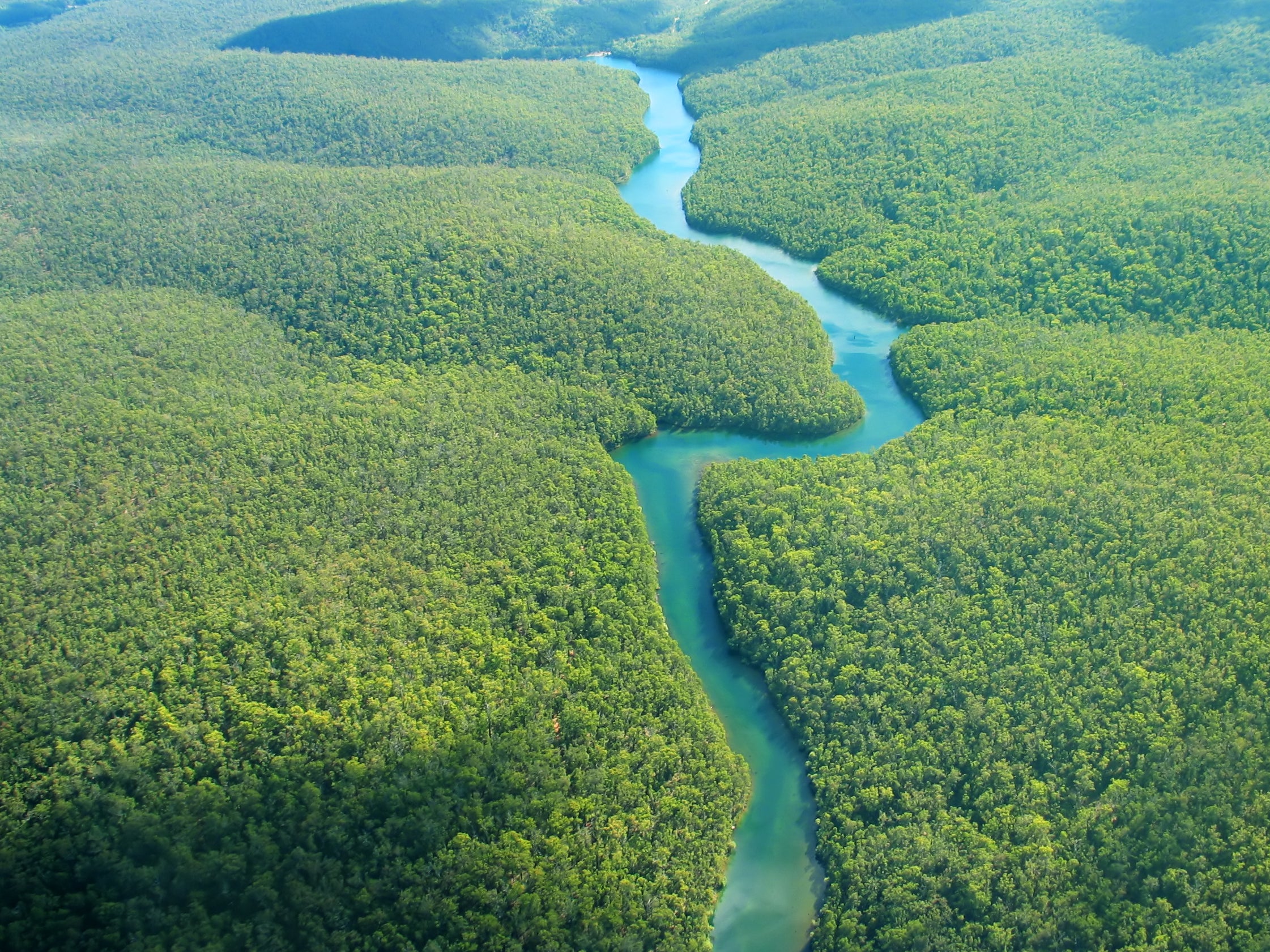 Climate crisis: Tropical rainforest 'tipping point' identified as scientists call for immediate action to tackle global warming