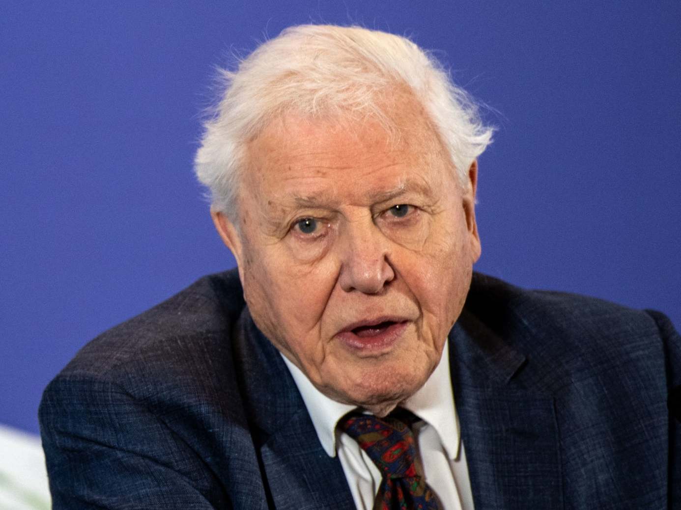 Sir David Attenborough warns climate change has been 'swept off front pages' by coronavirus