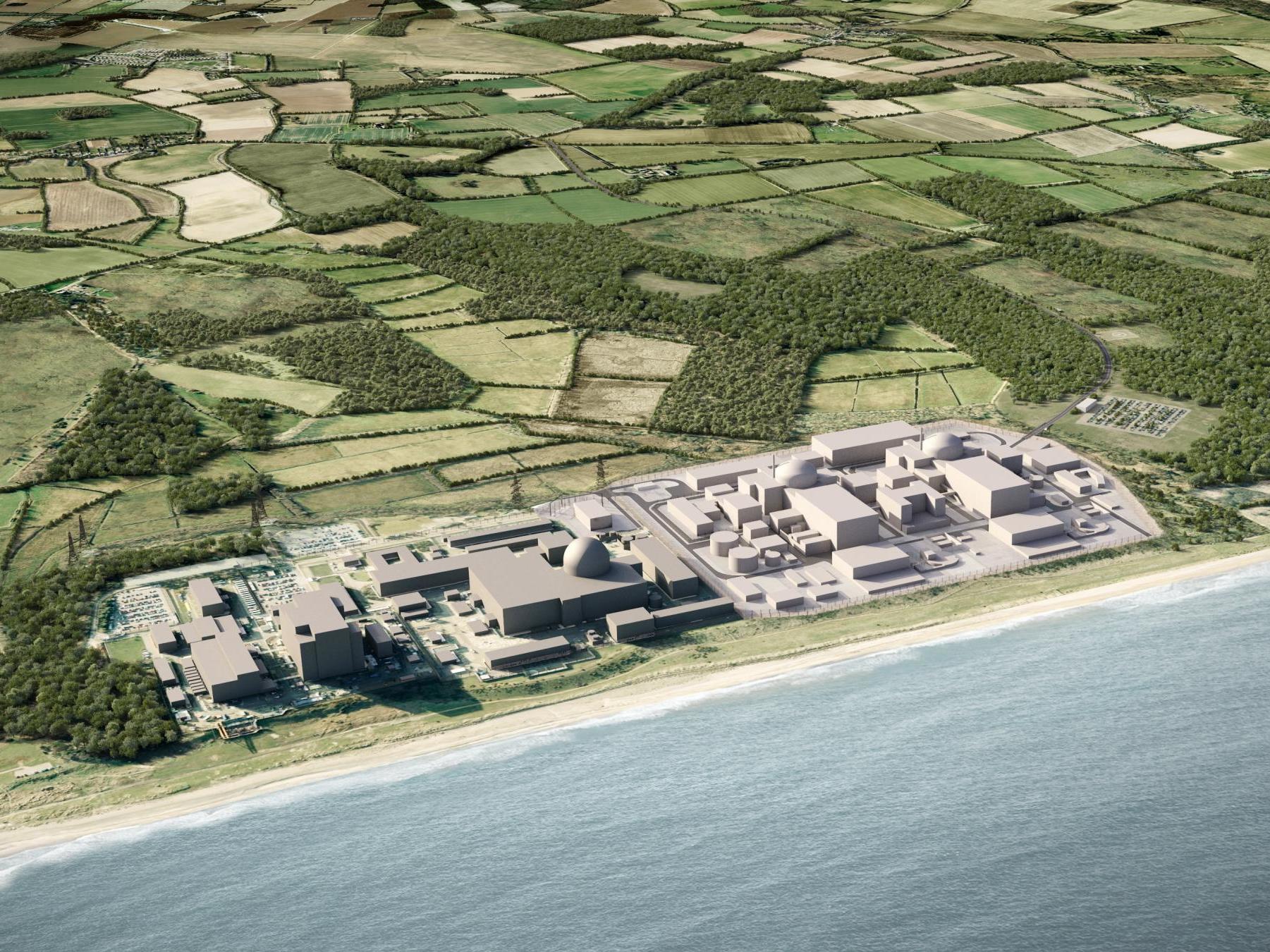 New nuclear power plant planned for Suffolk coast 'would be devastating' for wildlife