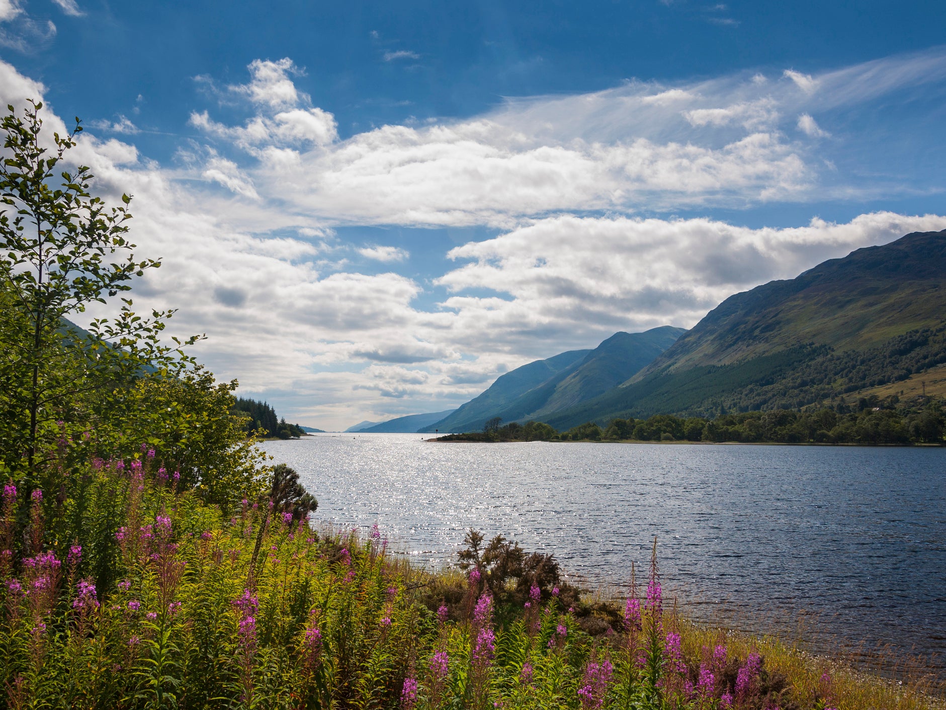 Climate crisis: Green entrepreneur buys 500-acre estate at Loch Ness for rewilding project