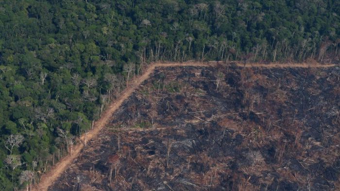 Brazil sends military to protect Amazon as deforestation surges