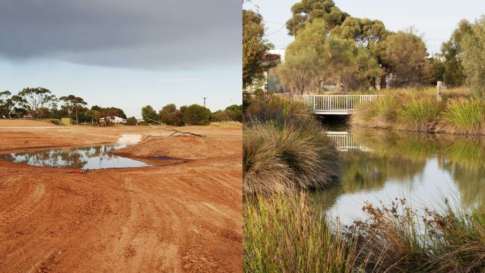Epic backyard blitz sees town bring stormwater drainage dam to life as wetland