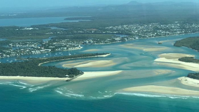 Dredging of Noosa River mouth recommended to help save riverbed species