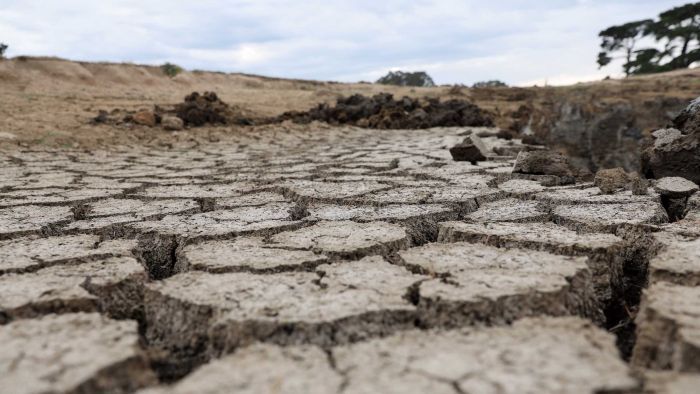 We fact checked Craig Kelly on rainfall and drought. Here's what we found