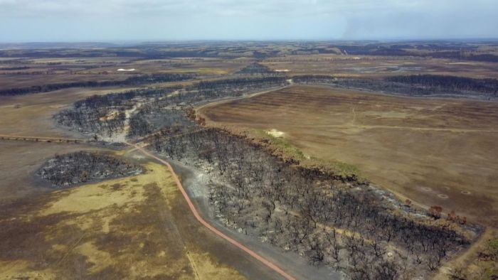 'Rebuilding won't happen in my lifetime': Fires devastate Kangaroo Island farmers