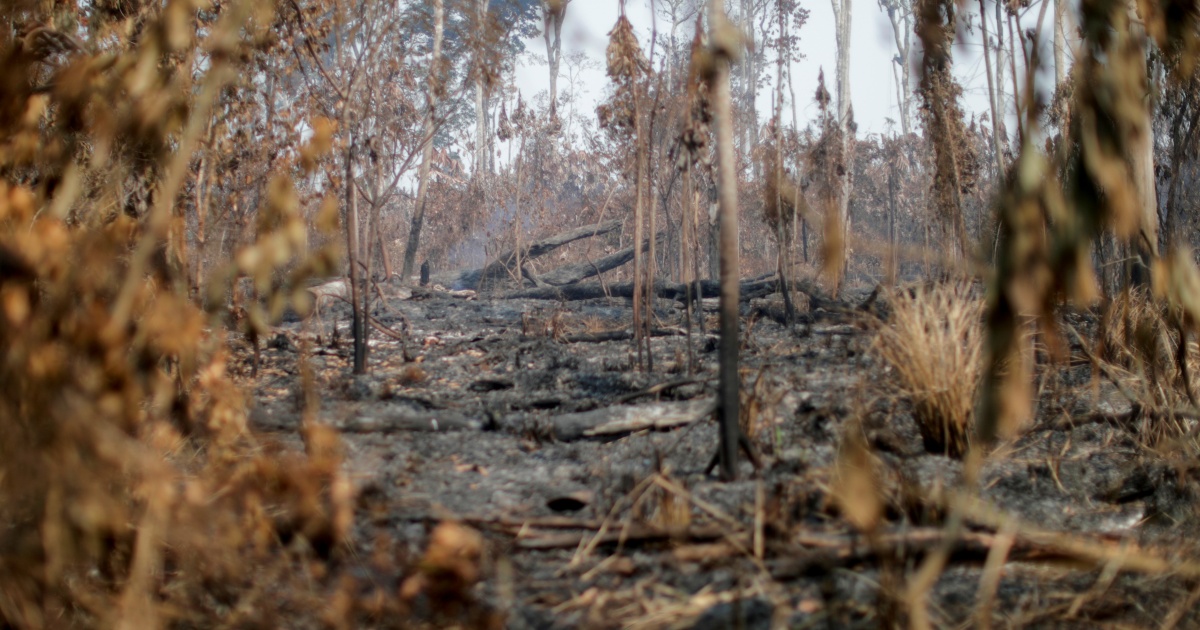 Fires in Brazil’s Amazon rainforest jump in October