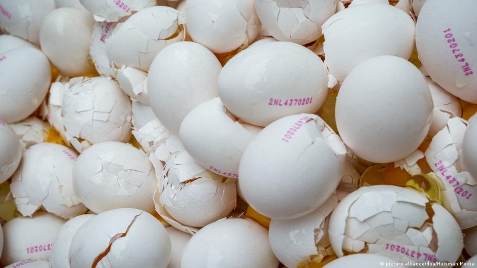 Court finds firms liable in fipronil egg-tainting scandal