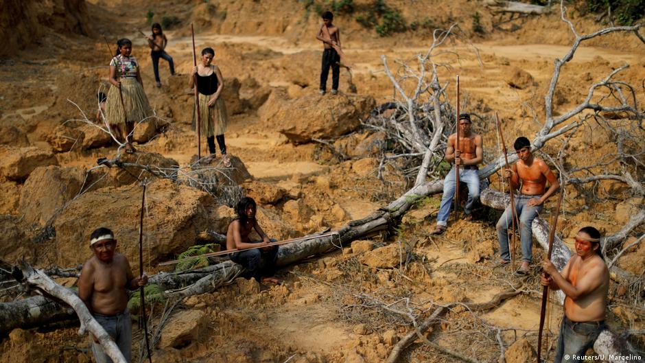 To stop Amazon deforestation, Brazilian groups take Bolsonaro to court