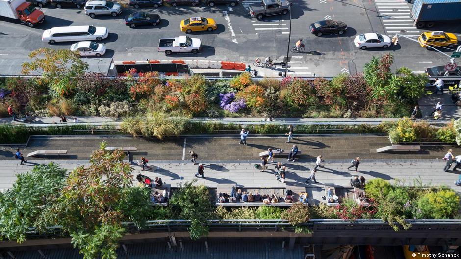 Rewilding the city: Biodiverse urban spaces that run free