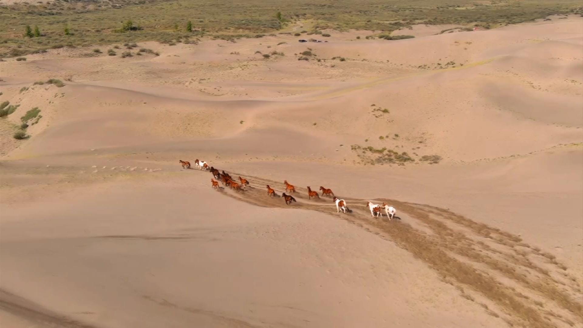 Climate change causes Russia sand dunes to sprout