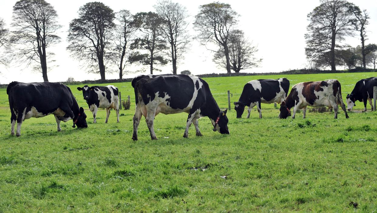 Nitrates Derogation closing date extended