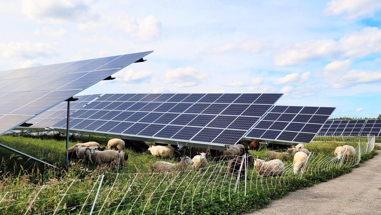 French green energy firm hit with delays on Irish solar projects
