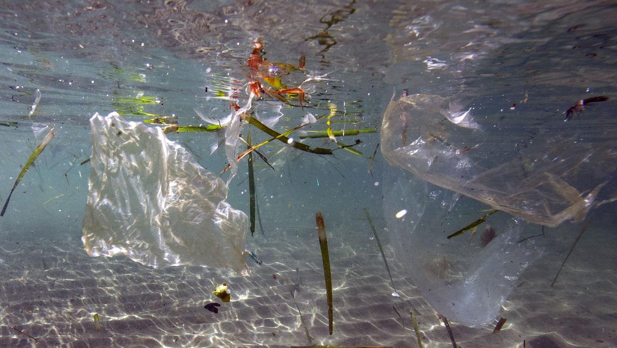 Ocean plastic will triple by 2040 without 'urgent, sustained action'