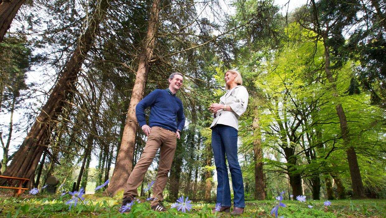 Festival announced to raise awareness of what our woodlands have to offer