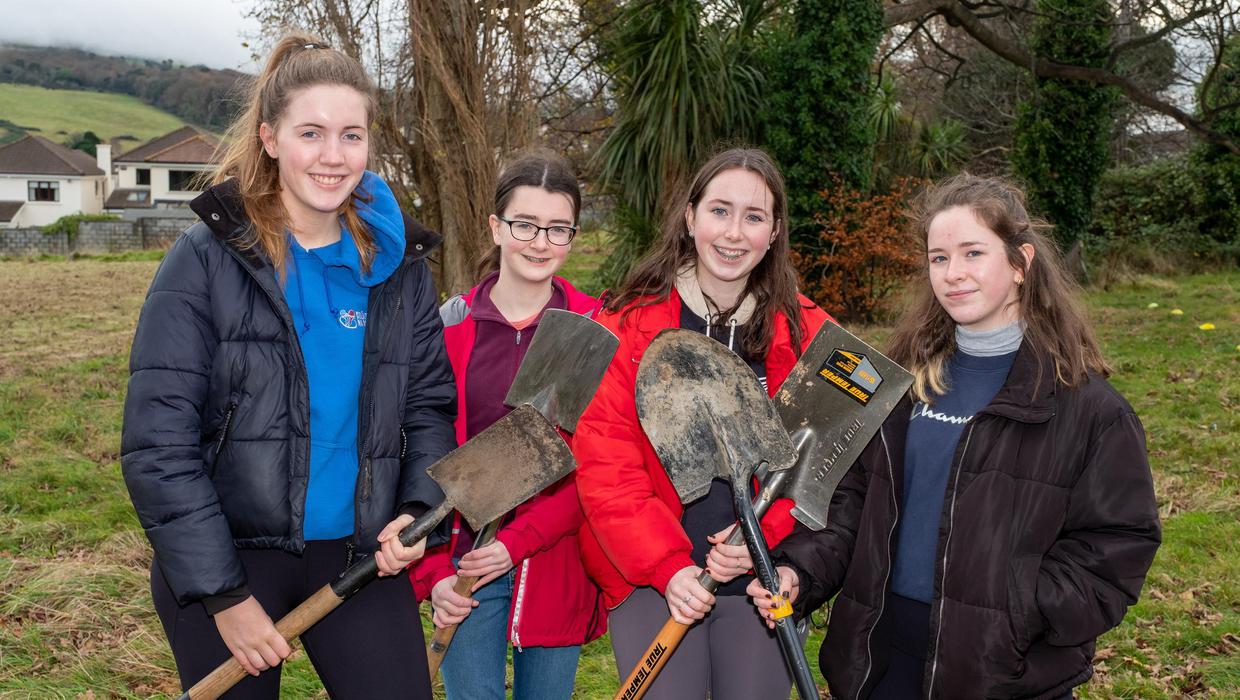1,500 trees planted during Bray Tree Week