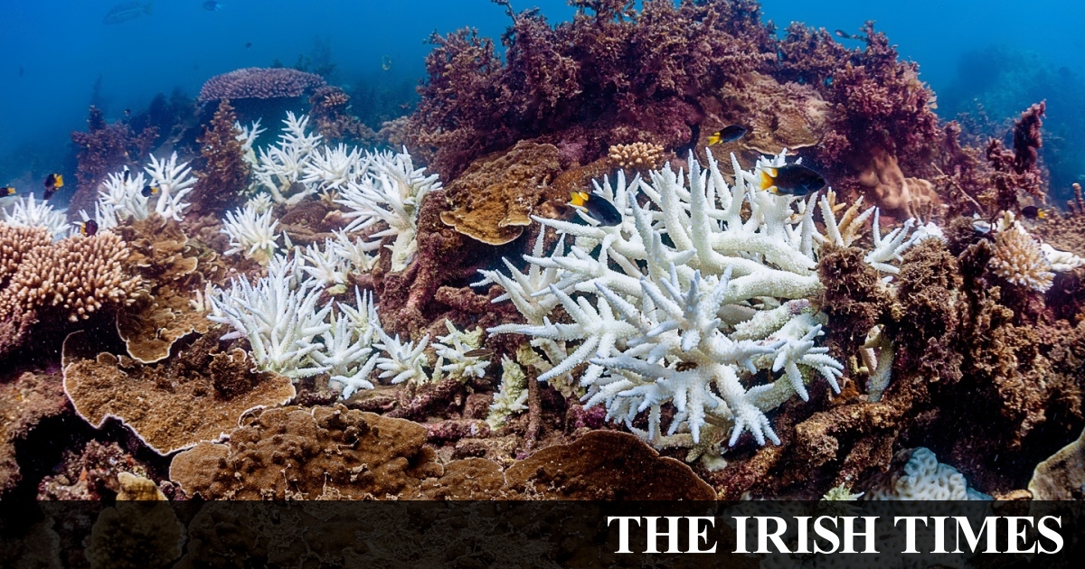 Emissions lead to extensive bleaching of Great Barrier Reef
