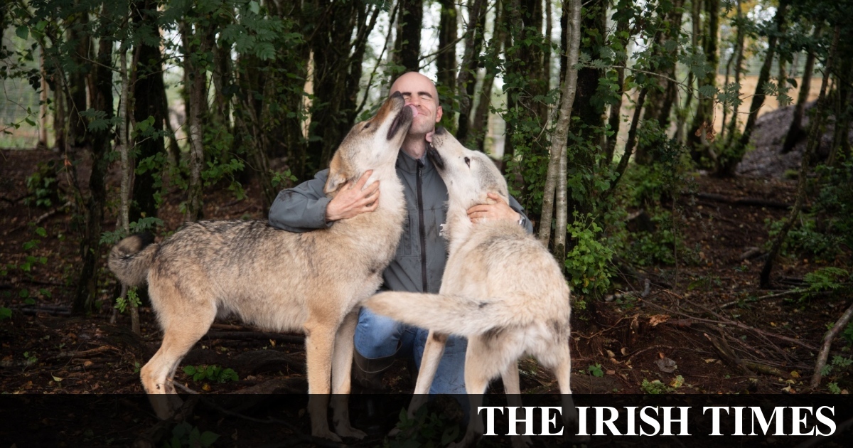 Meet the Bearman of Buncrana: ‘I knew about Joe Exotic for years’