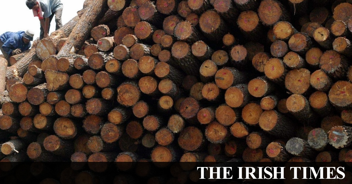 Cabinet set to approve Bill aiming to address forestry licence backlog