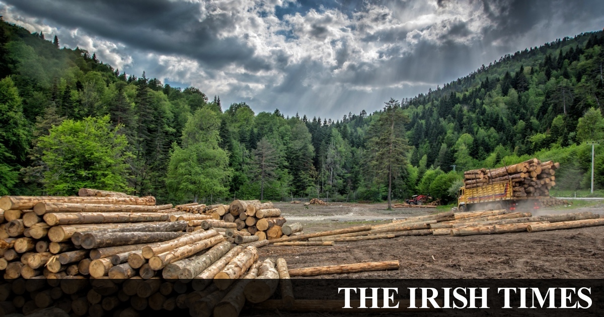 Ireland is in danger of losing the woods for the trees on emissions reduction