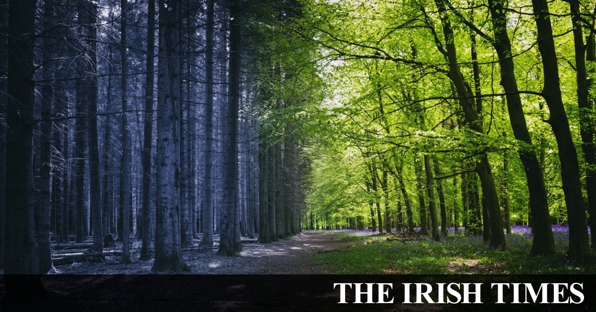 Irish climate targets ‘fall well short’ of mark under Paris pact
