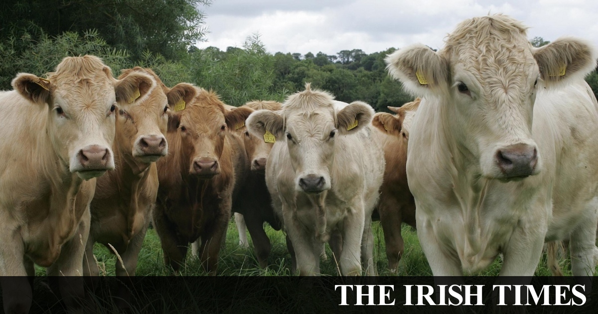 CAP deal will let State become world leader in sustainable food production, Minister says