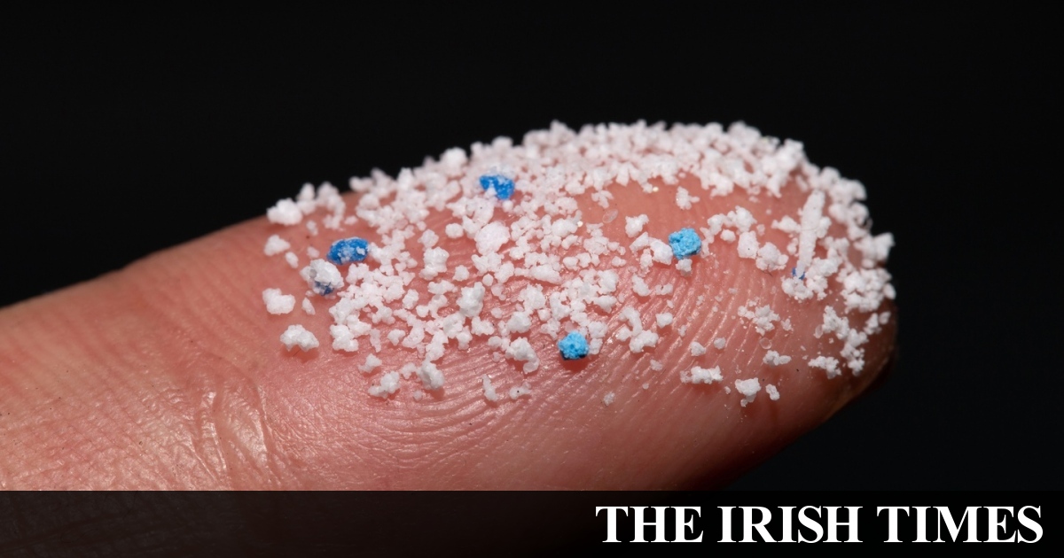 Microplastics found in 90% of protected Irish marine environments – study