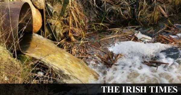 Nitrogen seepage: ‘Failure to protect’ rivers and lakes