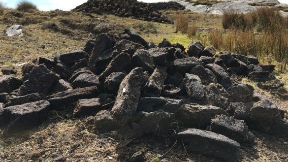 Bord na Móna welcomes report into transition away from peat in the midlands