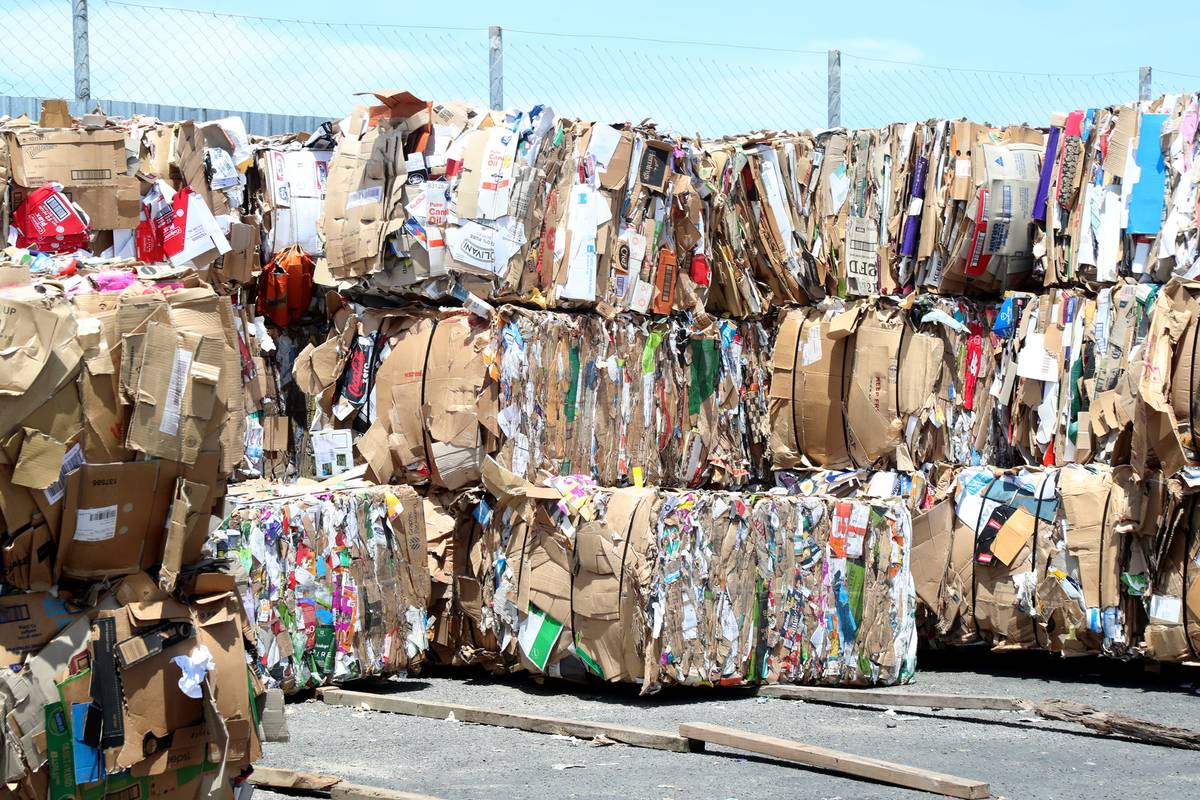 Whanganui District Council stumps up to recycle paper/cardboard