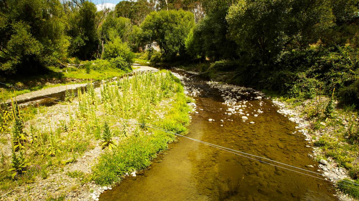 Two Hawke's Bay waterways groups receive $4.14m government funding