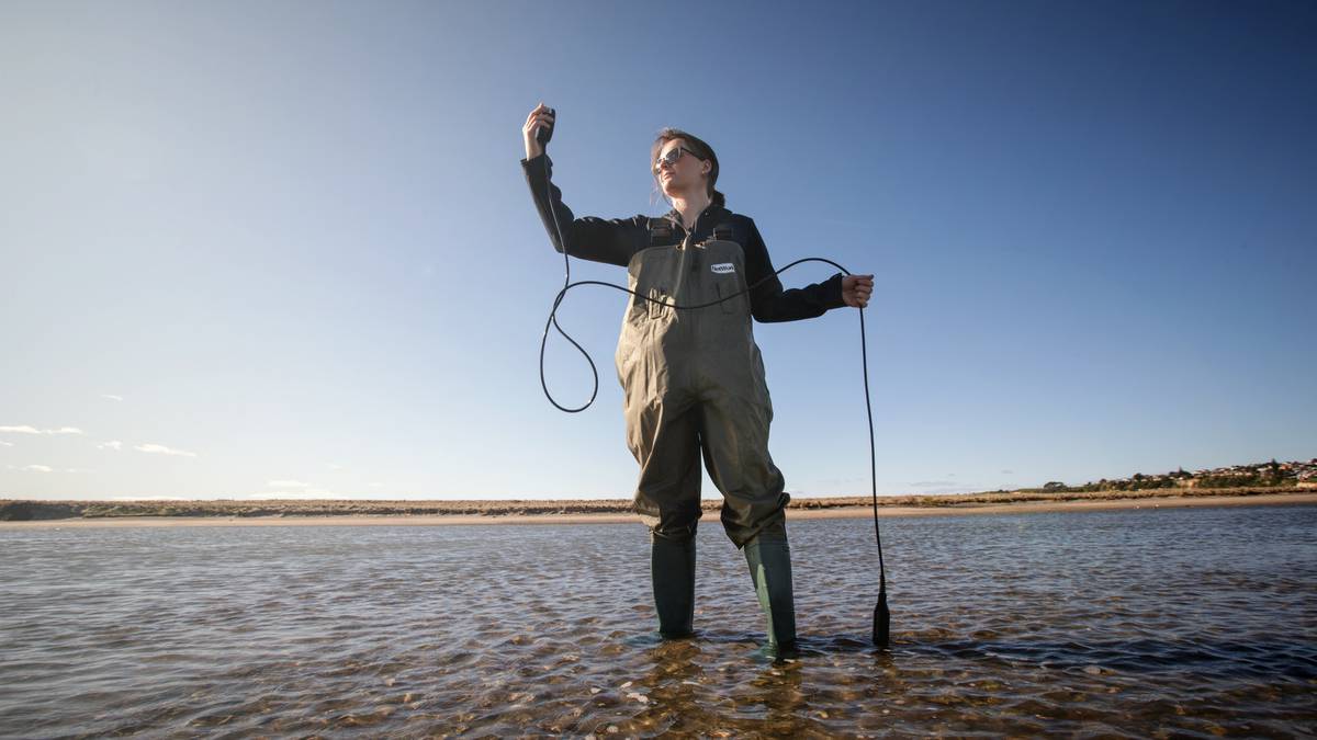 University of Waikato marine scientist Shari Gallop awarded L'Oréal For Women in Science fellowship in climate change