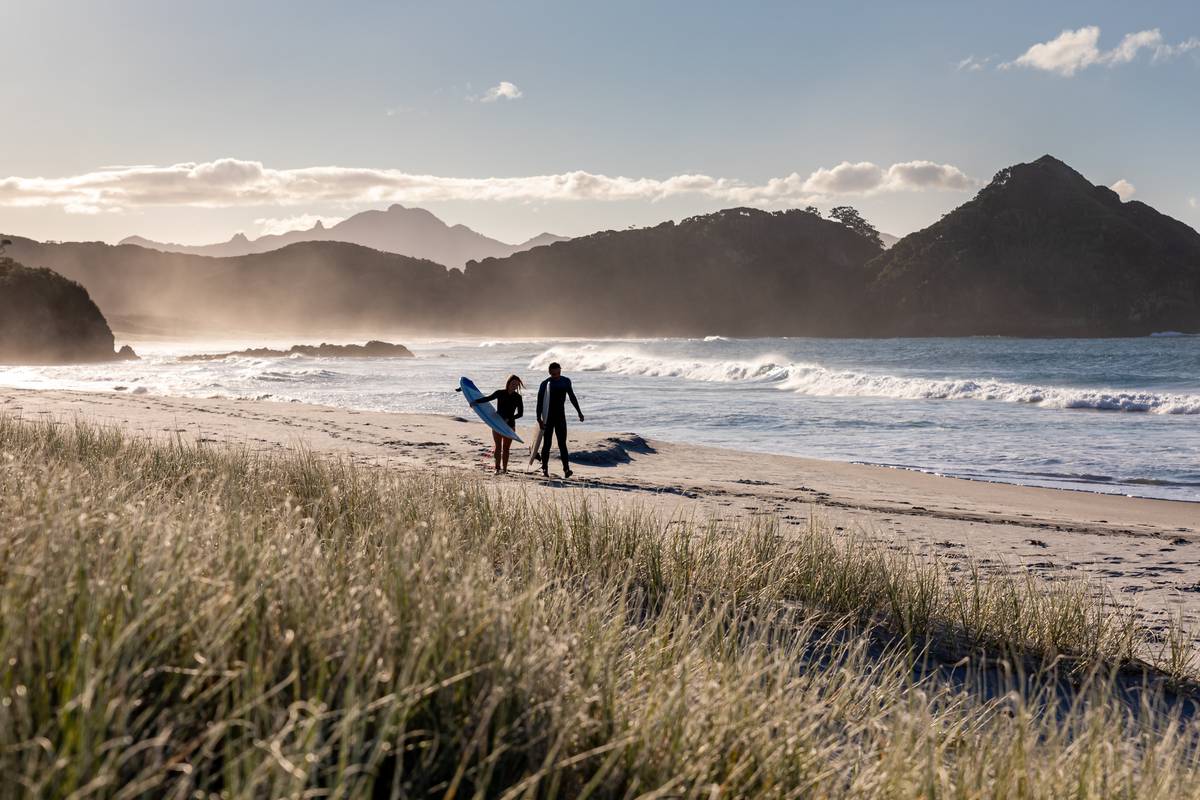 The best of Great Barrier Island