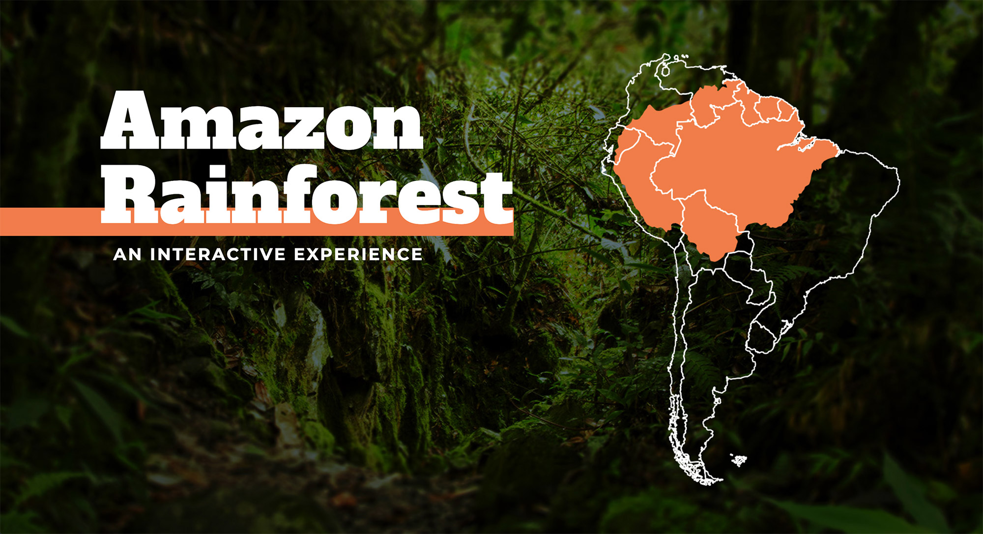 Amazon Rainforest