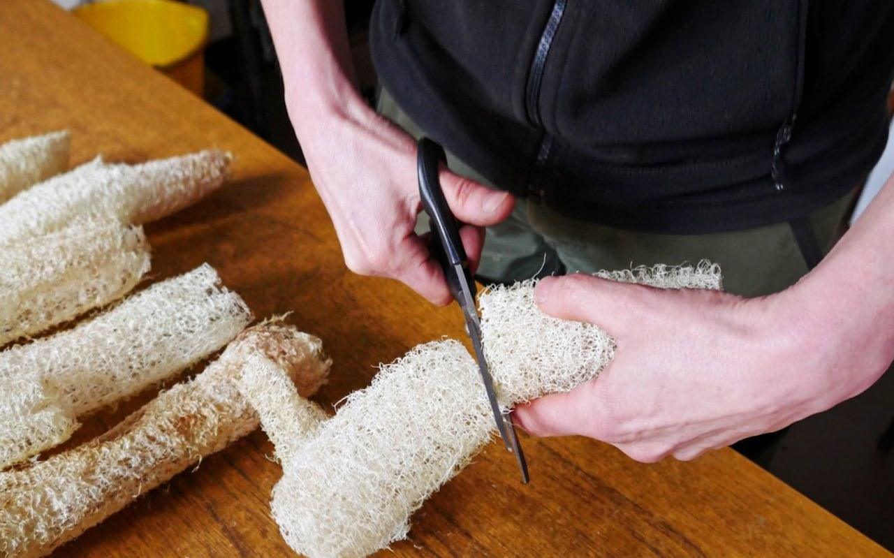 Grow your own sponges to cut down on plastic waste, National Trust says as first property begins practice