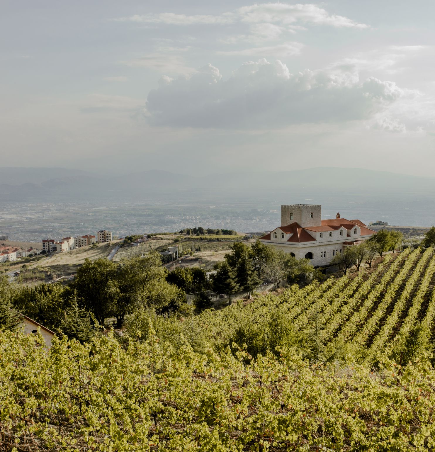 Climate change is upending Lebanon's booming business of boutique wineries (provisional)