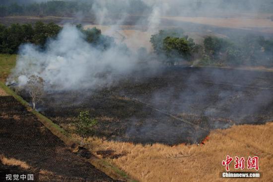 对抗烟霾 印尼逮捕300余名涉嫌造成林火嫌犯