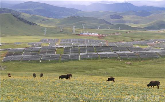四川阿坝：草原上的光伏扶贫 “点亮”脱贫致富路 - 能源界