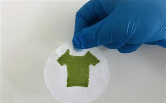 3D打印技术首次让藻类“变身”柔韧光合材料 - 能源界