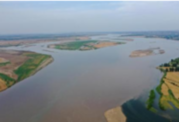  黄河三角洲生态补水创历史新高 