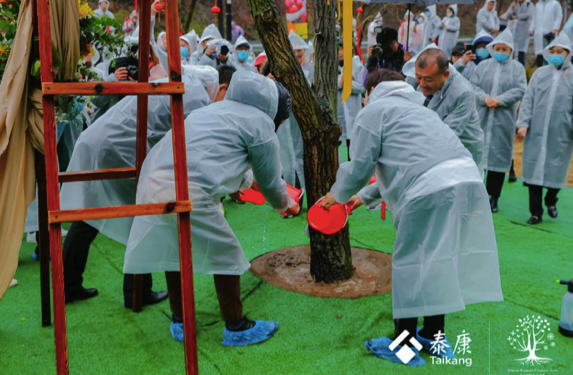 植树节，泰康三地纪念园举办植树及果树认养活动 - 新浪网