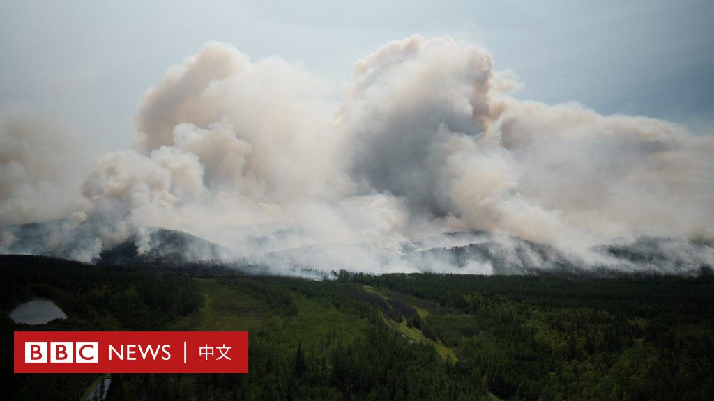 全球暖化下的西伯利亚：俄罗斯远东森林大火烧伤了“地球的肺”