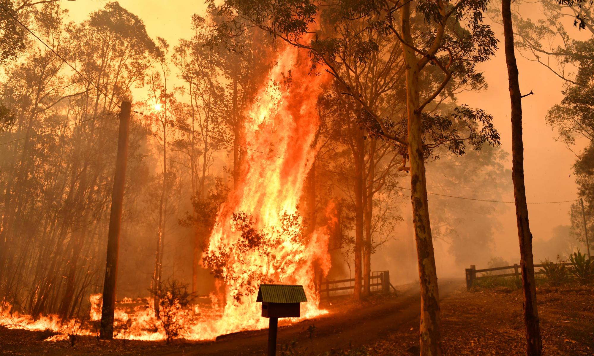 澳大利亚大火：新州和昆士兰州发生140场丛林大火，大火“扑灭不了”