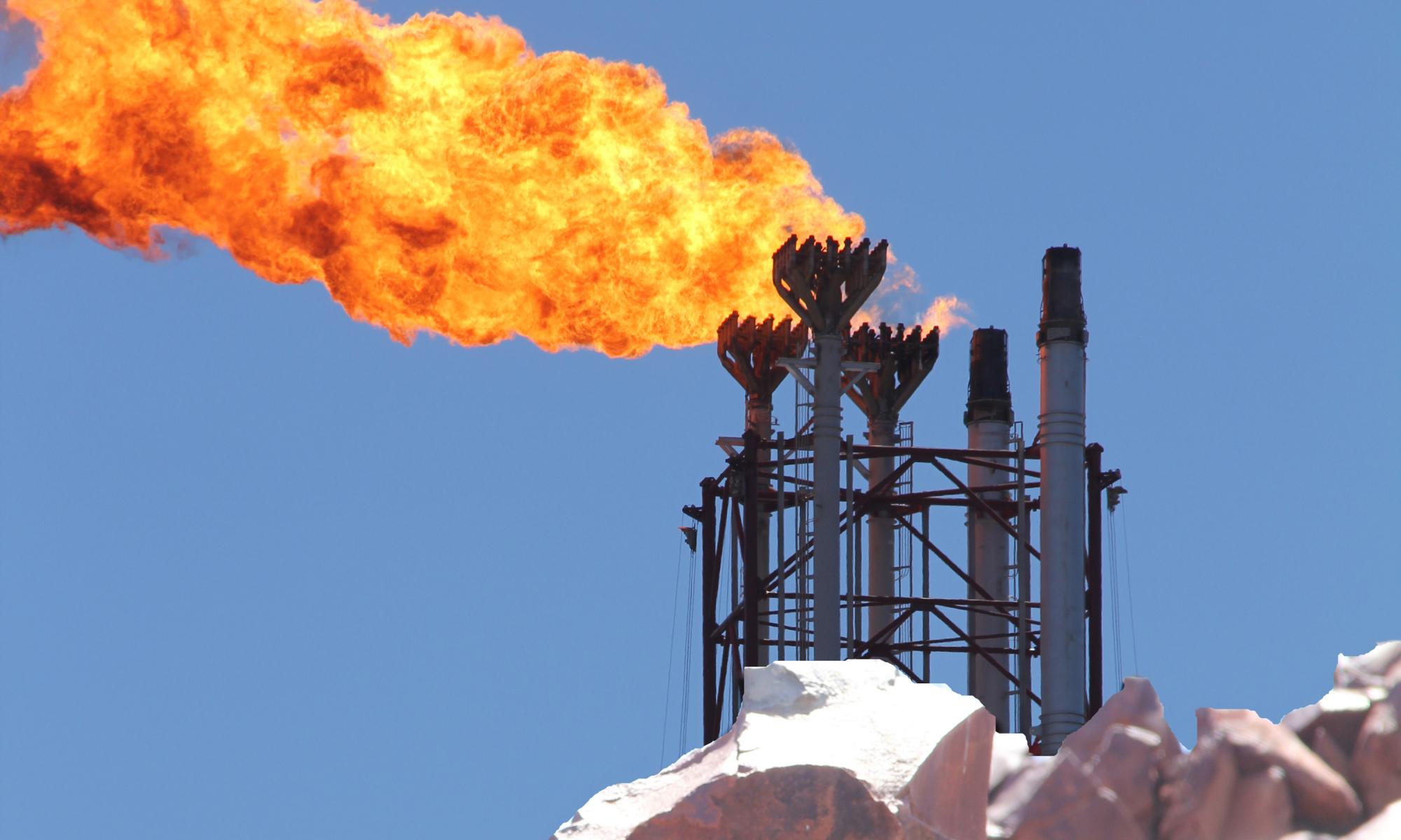 西澳大学强烈要求与化石燃料公司建立合作伙伴关系