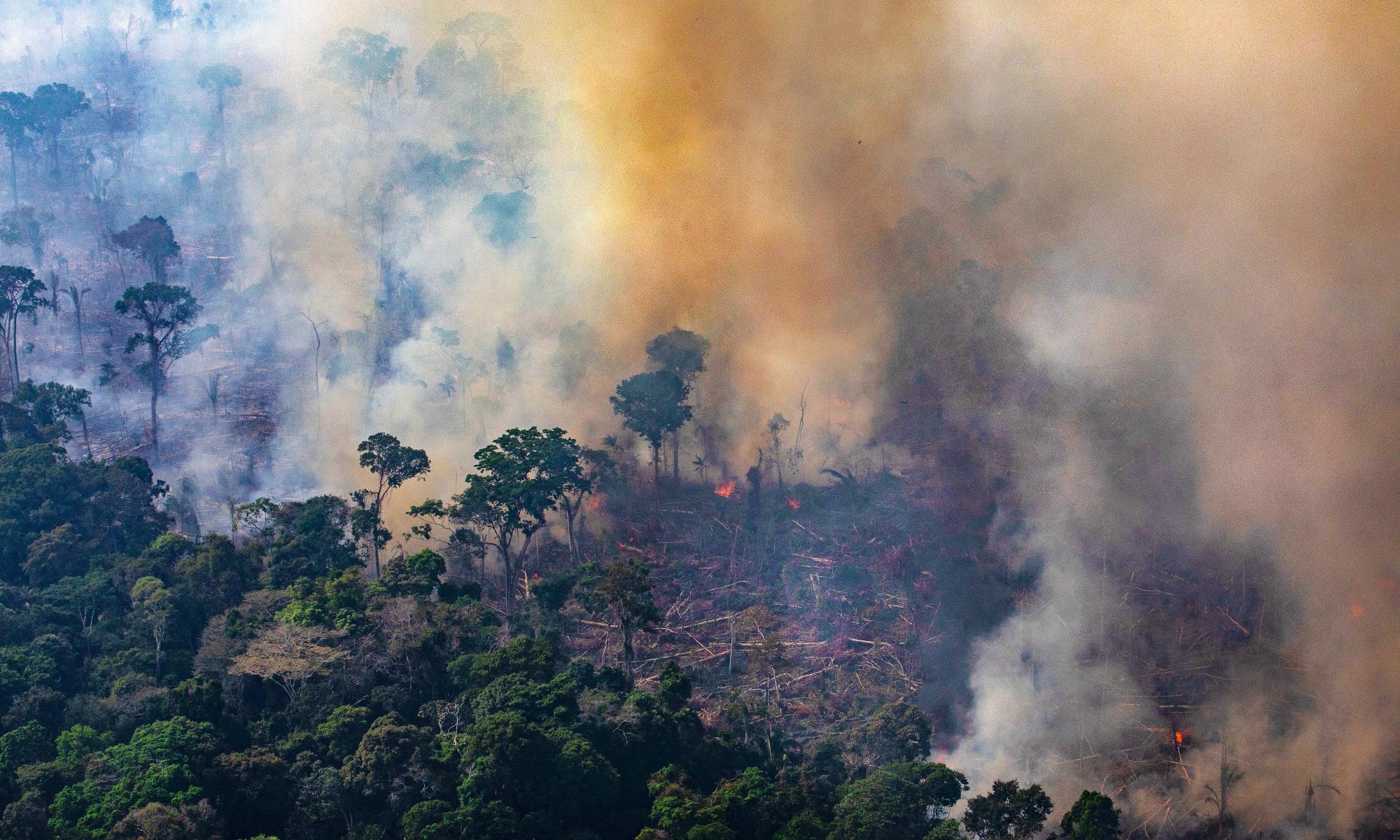 亚马逊：在应对气候危机的全球斗争的最前沿