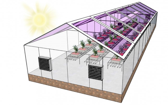 半透明太阳能电池可以使温室在能源上自给自足