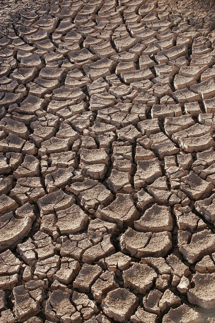 联合国秘书长：2050年全球35亿至44亿人用水将受影响