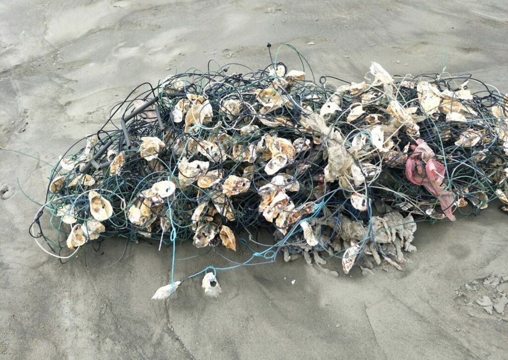 廢蚵繩、漁網救星 海保署攜手台化再利用 明年有望量產海廢再生尼龍