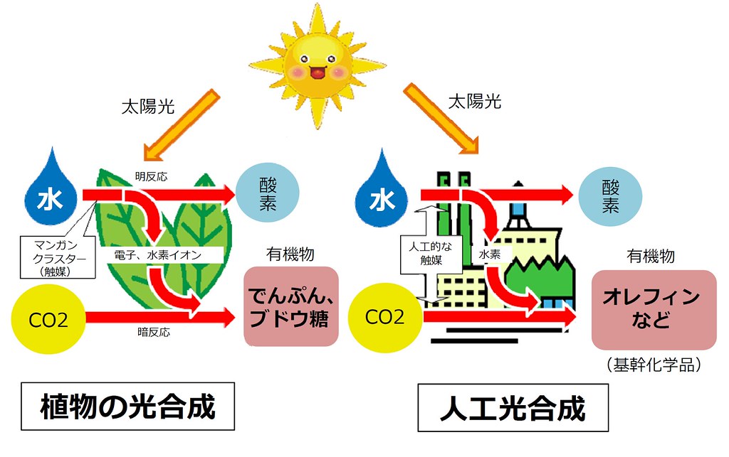 模仿植物的人工光合作用 日本太陽能利用再升級