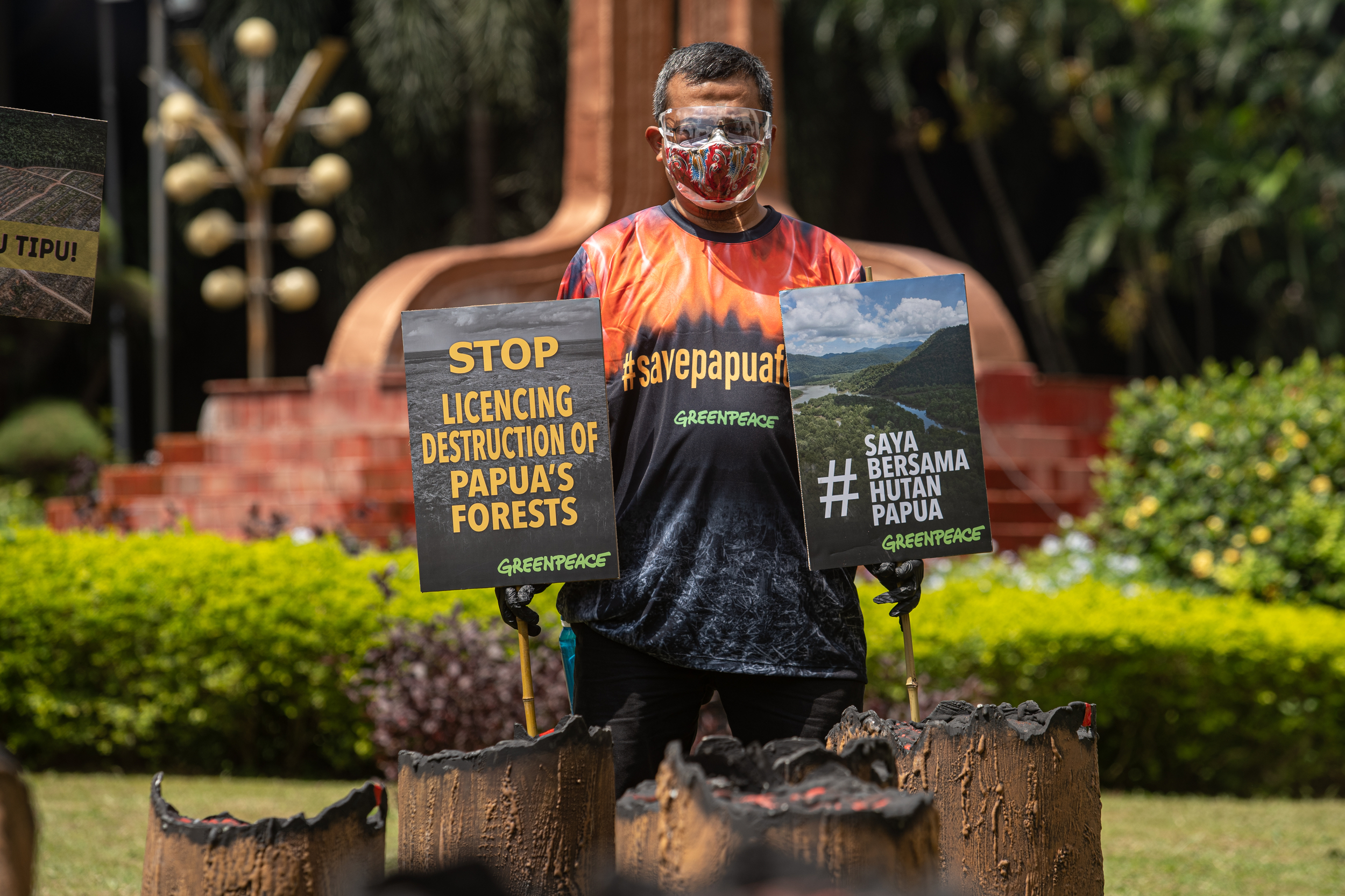 最新報告！印尼政府放任企業毀林，巴布亞森林亟待救援