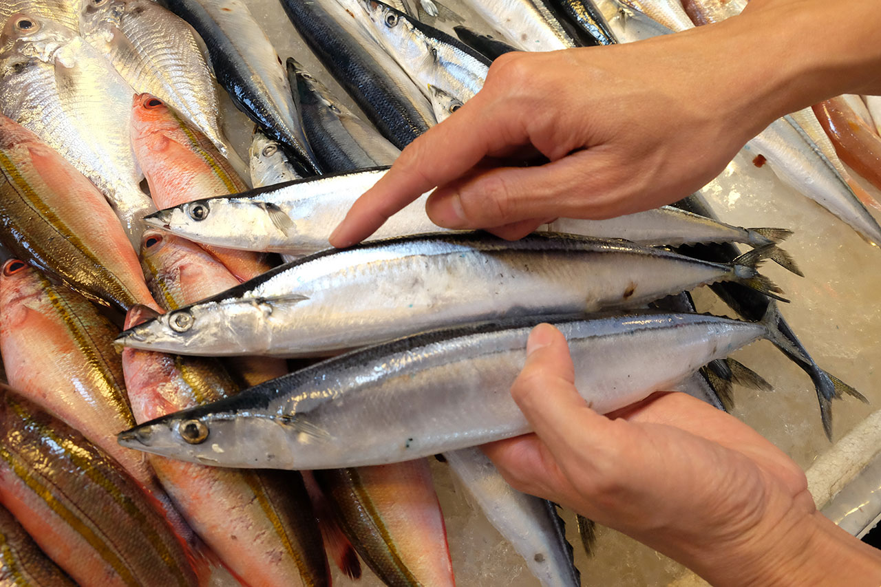 日本輻射核污水兩年後入海，秋刀魚、日本進口海鮮是否還能安心吃？